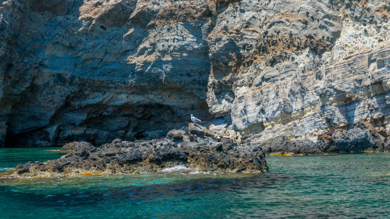 Rocky cliff with clear turquoise water and a bird perched on a rock.